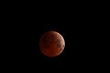 Faux-Lunar-Eclipse_03583